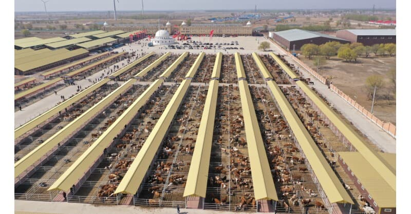 Hinggan League's Agricultural, Cultural and Tourism Consumption Carnival Opens in Beijing, Showcasing Green Development and Industry Strength