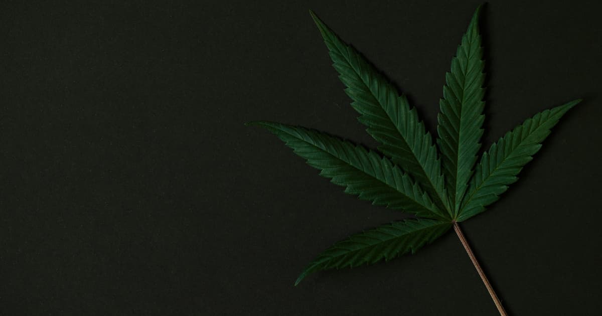 Virginia Cannabis Sales Bill Advances to Senate Floor