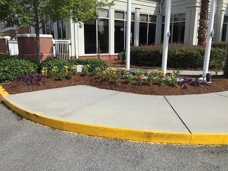 Turf Scouts Marks 15 Years of Lawn Care Services in Savannah and Isle of Hope