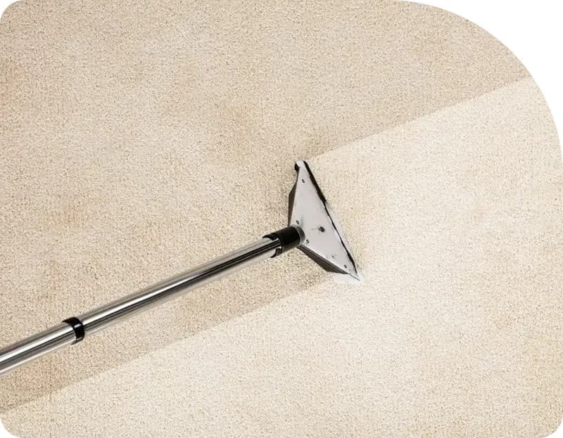 Flood Squad Sets New Standards in Sydney Water Damage Restoration with Advanced Technology