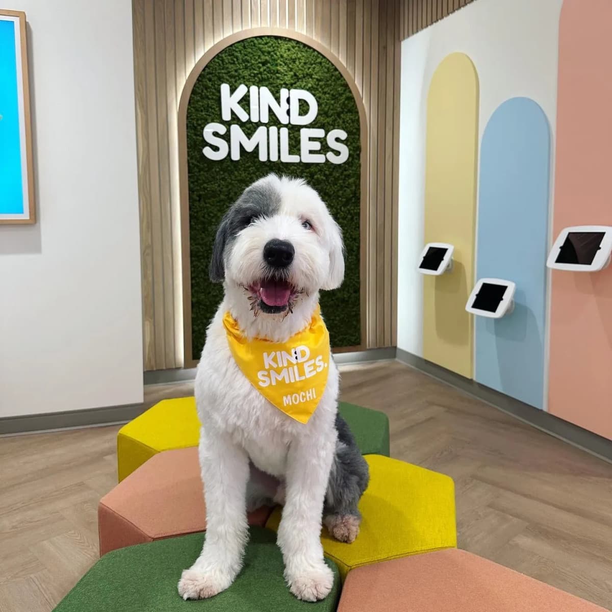 Kind Smiles Orthodontics and Pediatric Dentistry Delivers Comprehensive Family Dental Care in Irvine