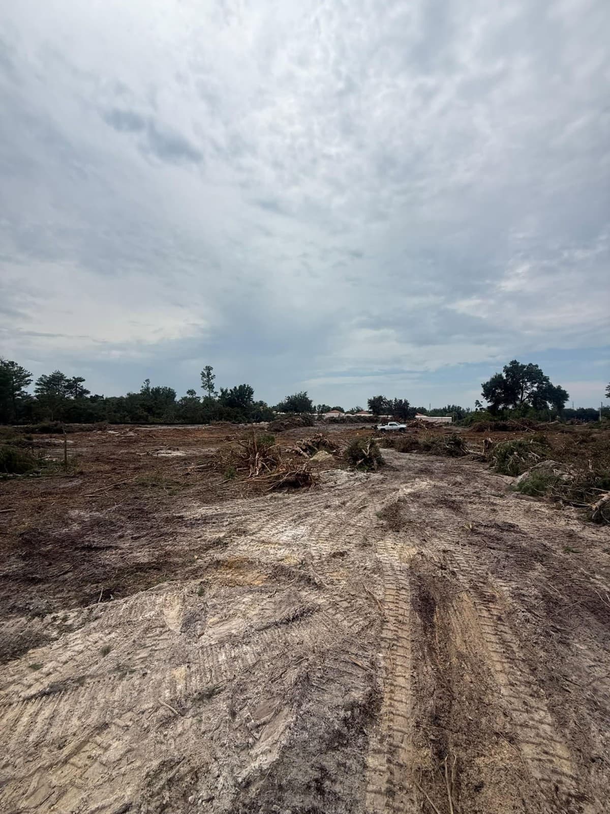 New Land Clearing Guide Details Seven Signs You Need Professional Help