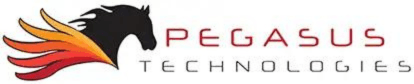 Pegasus Technologies Forges Local Business Ties Through Chamber Golf Tournament Participation