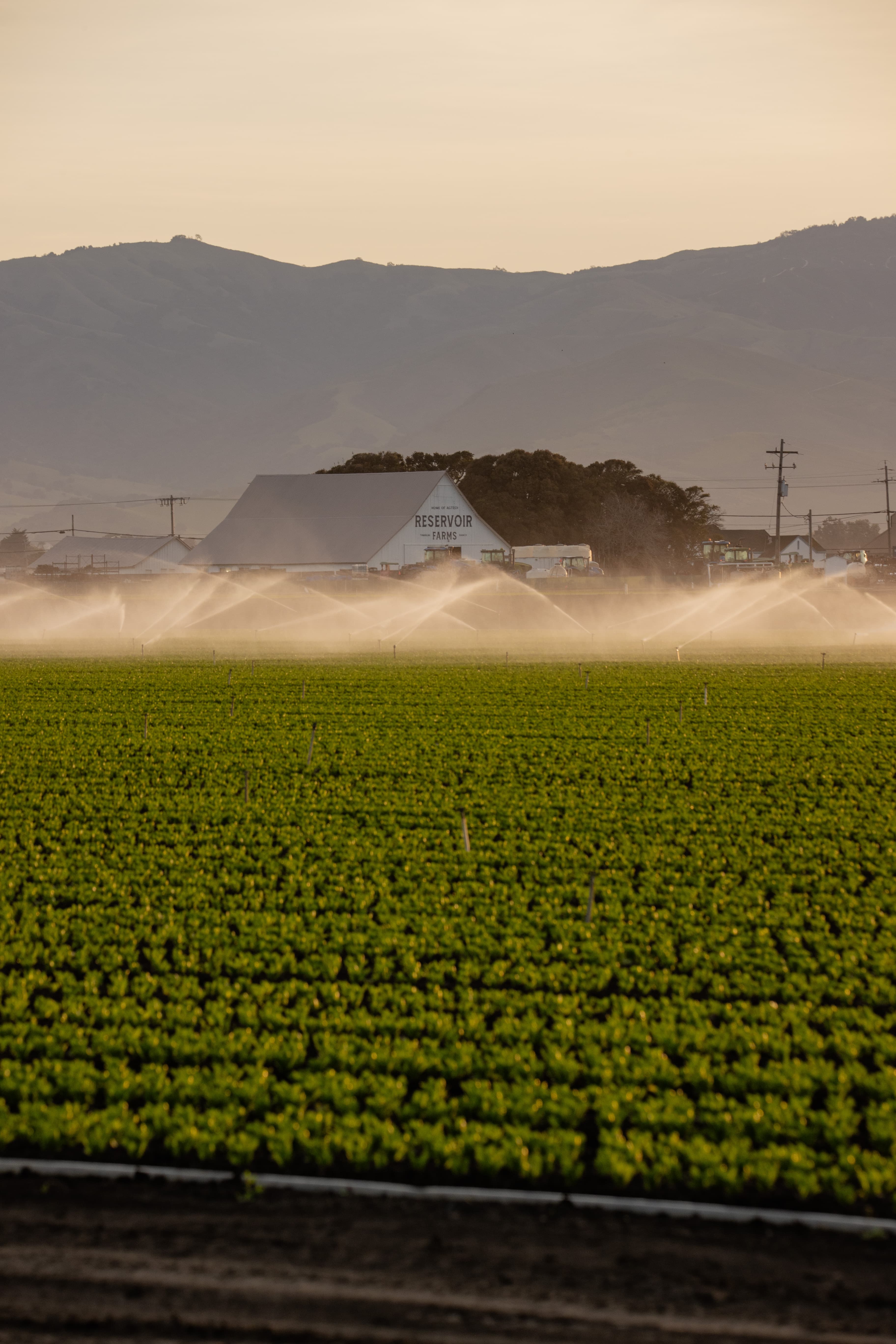 Reservoir Opens Farms to Drive AgTech Innovation with Free Associate Tier